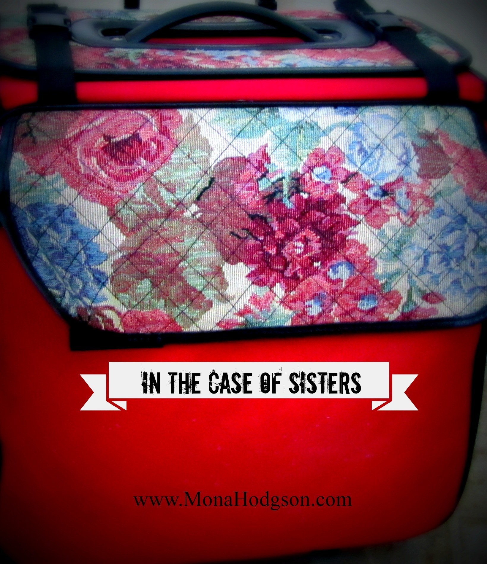 In the Case of Sisters Blog